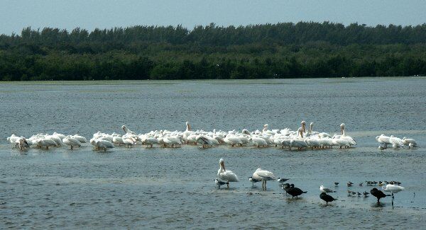 Click to See Next Image